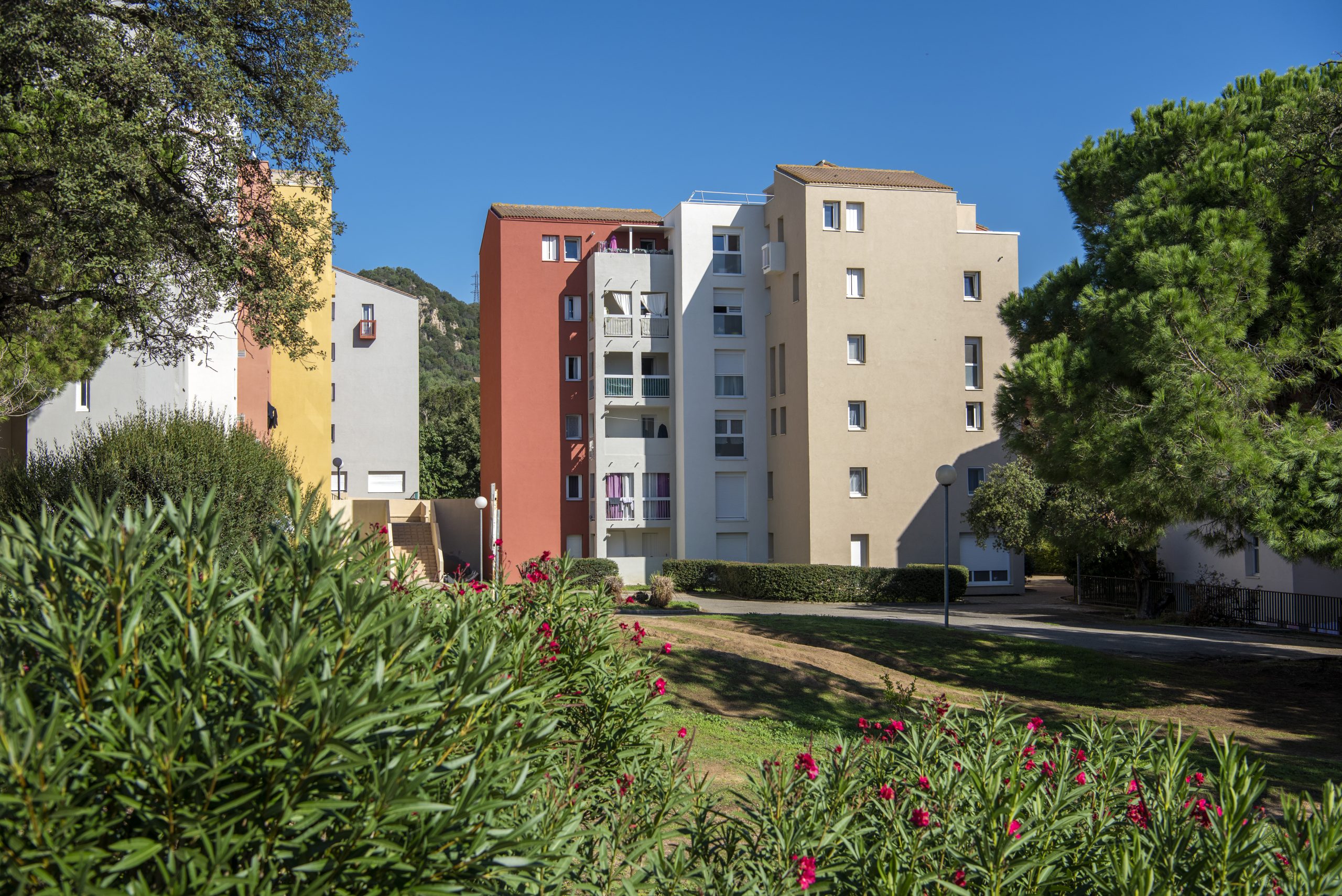 Rénovation énergétique de logements collectifs
